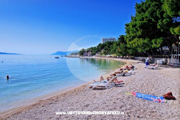 Apartmaji Neva plaža – foto 6