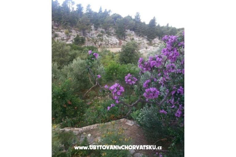 Apartmaji Rubinić – foto 15