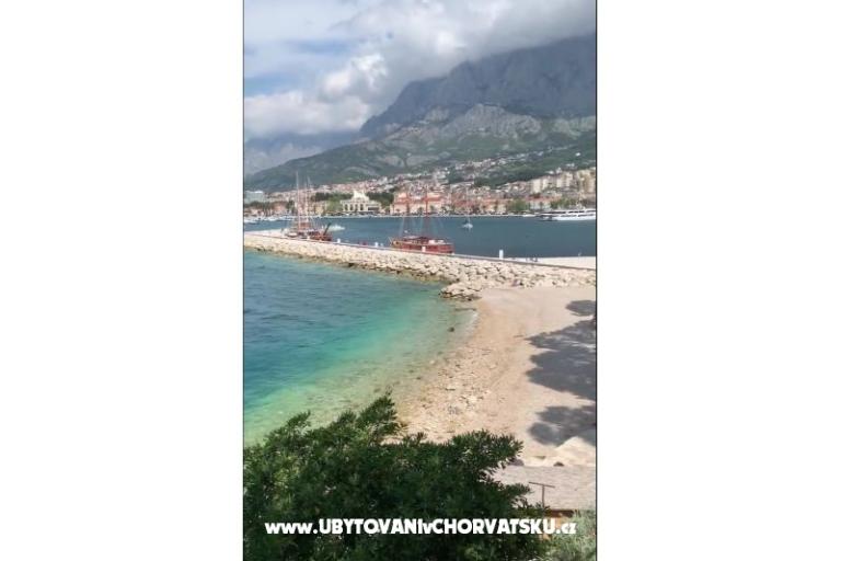 Apartma Tanja – foto 7