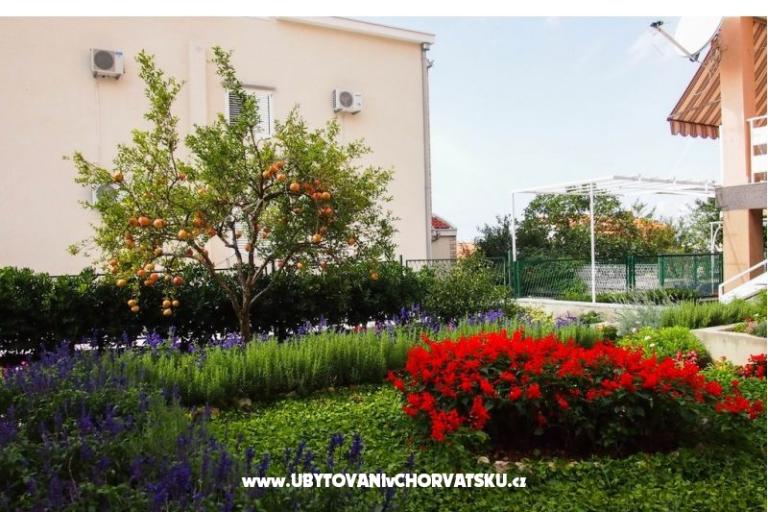 Apartmaji Vrpolje  – foto 2