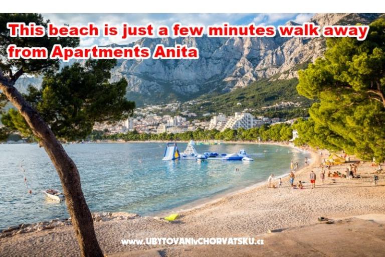 Apartmaji Anita - Center – foto 8