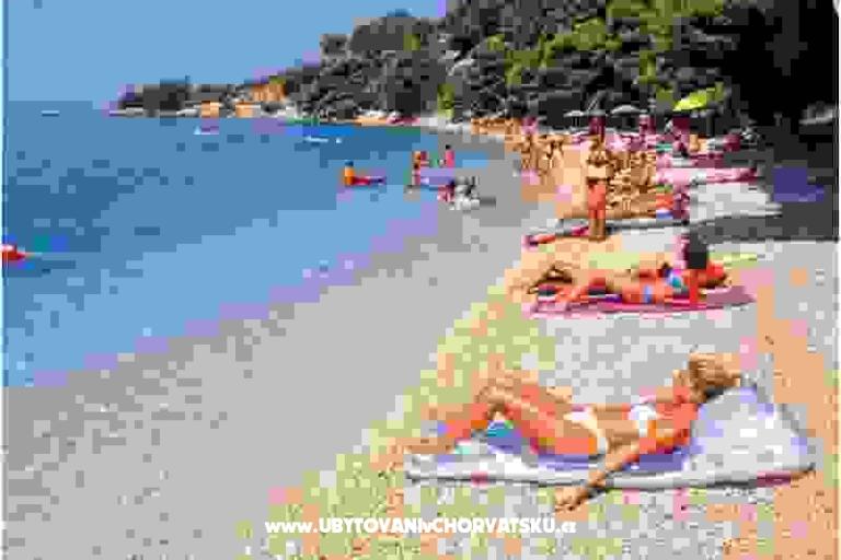 Apartma Marko – foto 15