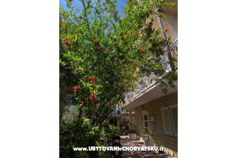Apartmaji A&amp;B – foto 16
