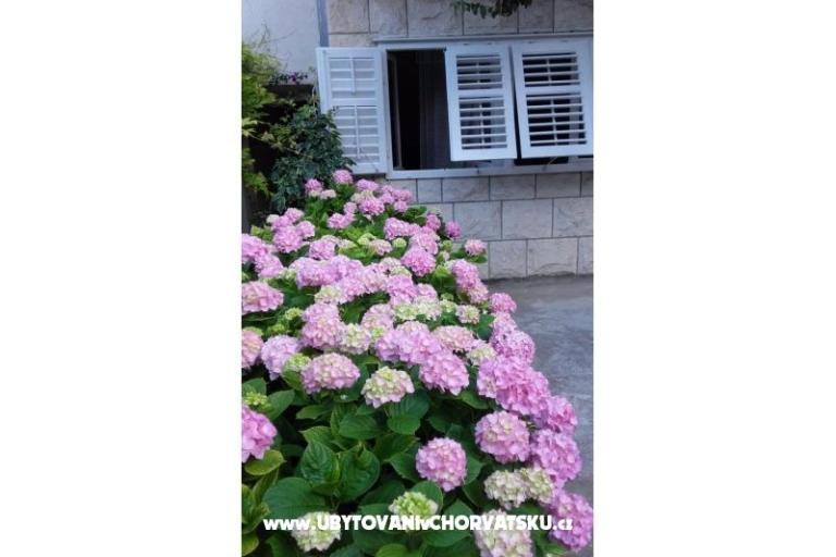 Apartmaji Jele – foto 7