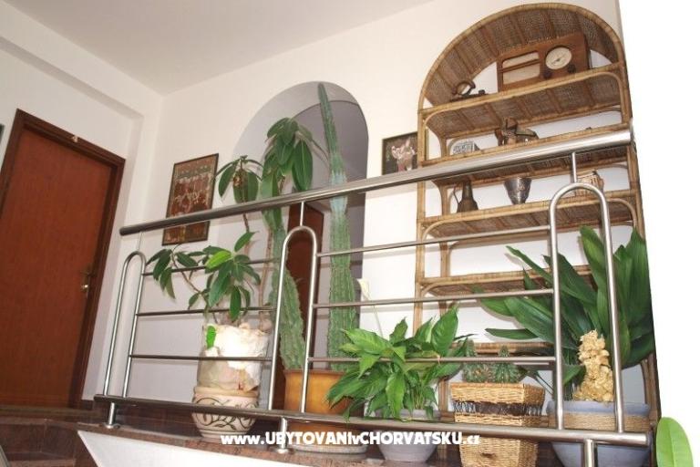 Apartmaji Mihić – foto 14