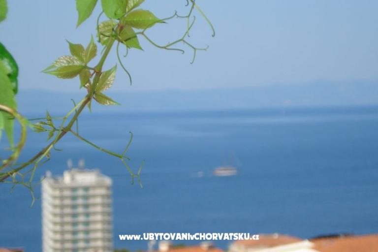 Apartmaji Milic – foto 11