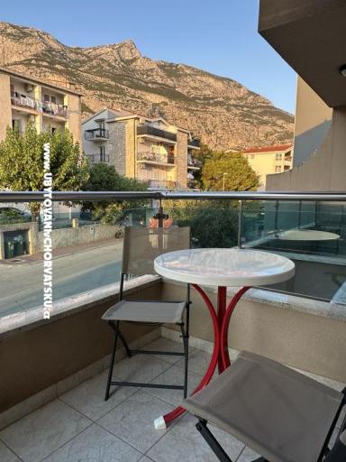 Apartmaji Tina – foto 11