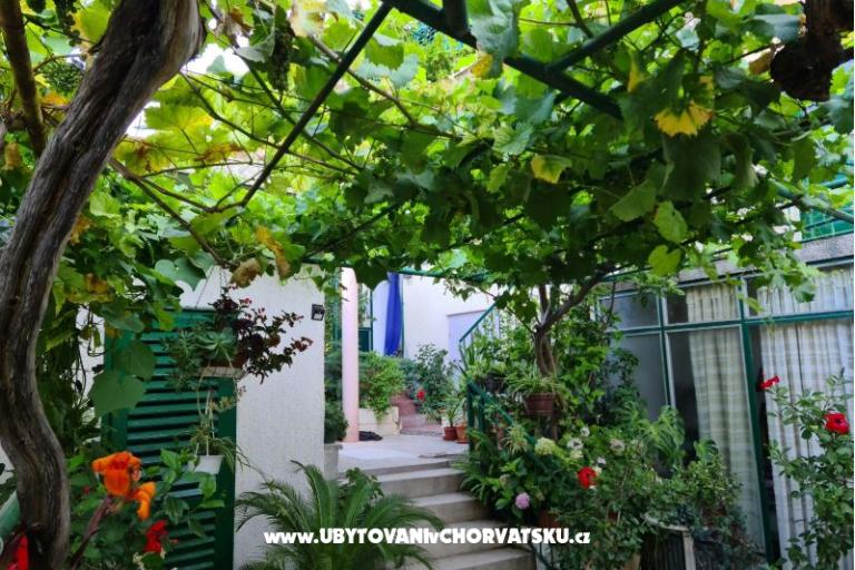Apartmaji Vinea – foto 2