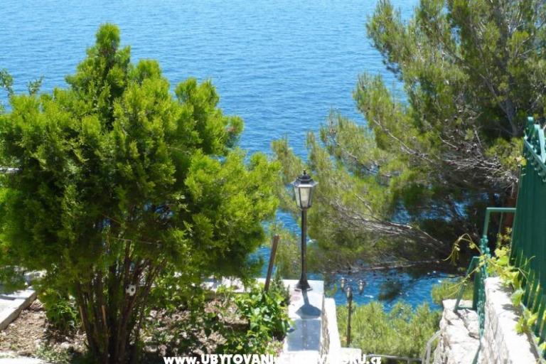 Apartmaji Sliskovic, 1. line to sea – foto 8
