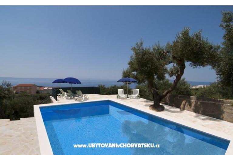 De Lux Apartmaji-SWIMMING POOL – foto 17