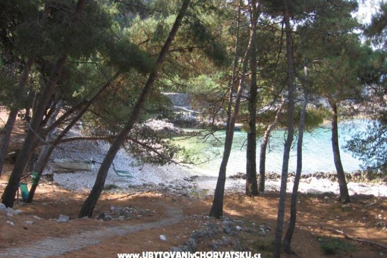 Apartma Porta Šešula – foto 2