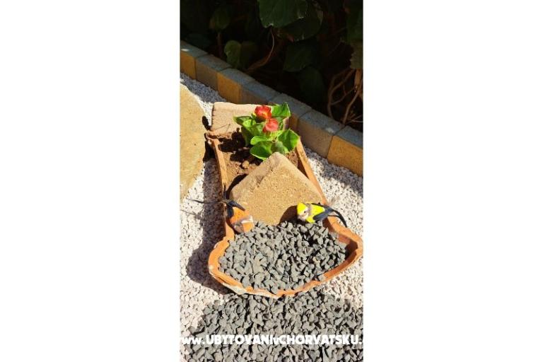 Apartmaji Avvi – foto 23