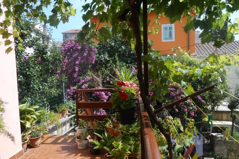 Apartmaji  Vodarić – foto 8