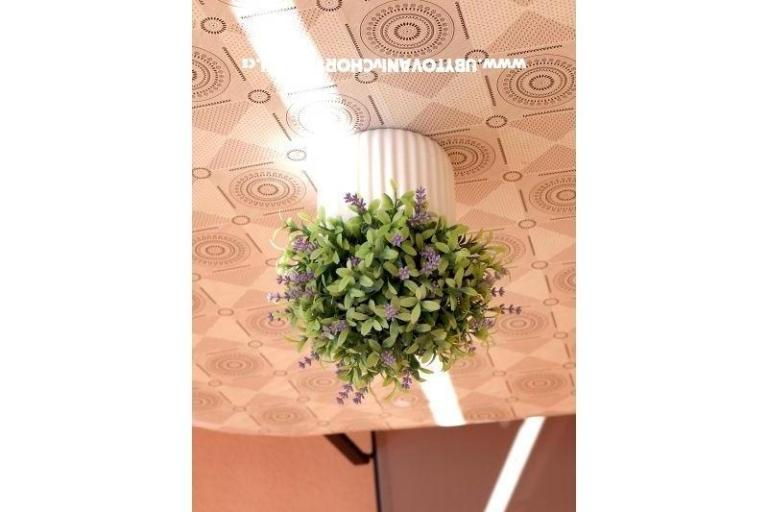 Apartmaji Ivanka – foto 15