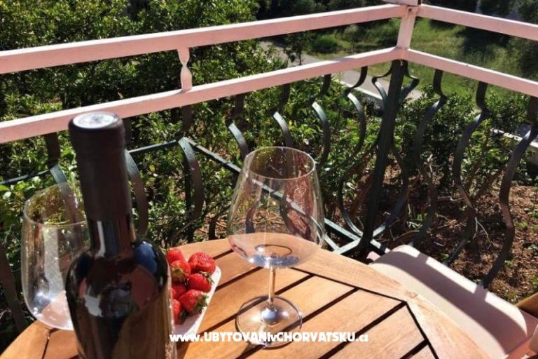 Apartmaji Lemon Garden – foto 4