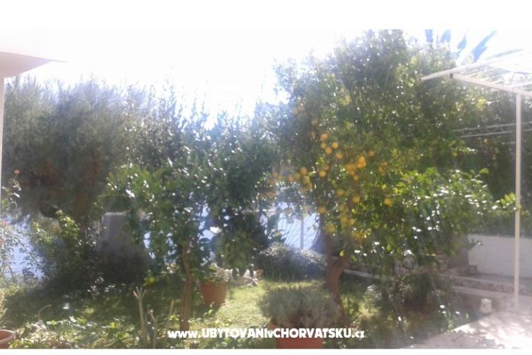 Apartmaji Neves – foto 13
