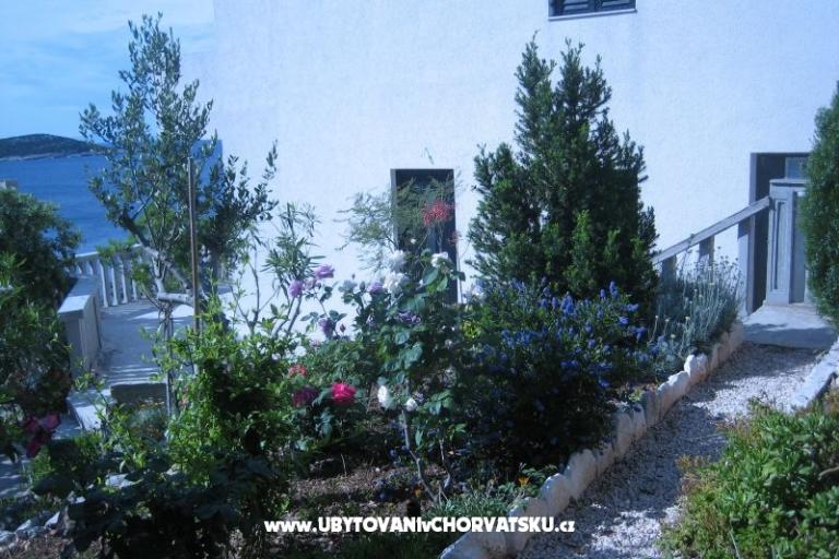 Apartmaji Punta  – foto 5
