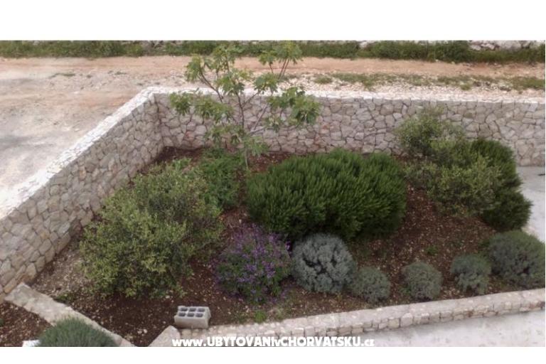 Apartma  Darija – foto 15