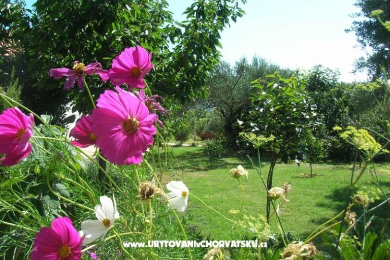Apartmaji Mira &amp; Vinko – foto 17