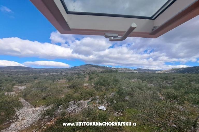 Green Hiša (Dogs are welcome) – foto 7
