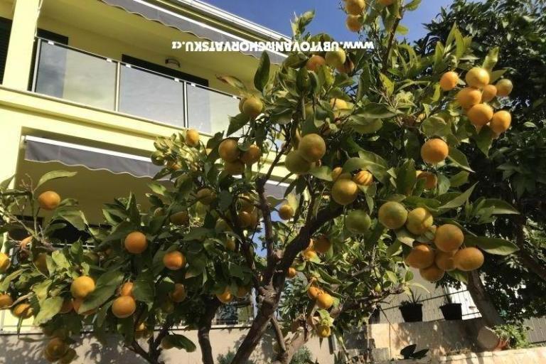 Stari Šime – foto 2