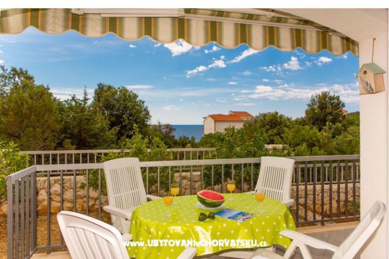 Apartmaji Vila Nena z bazenom – foto 11