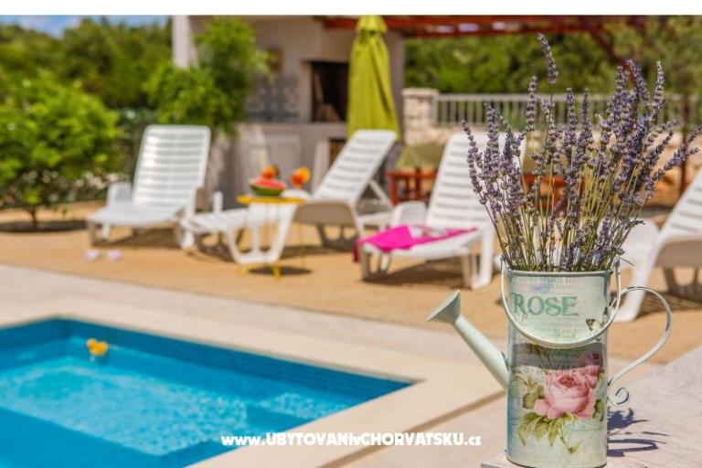 Apartmaji Vila Nena z bazenom – foto 6