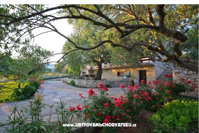 Apartmaji Nekic  – foto 7