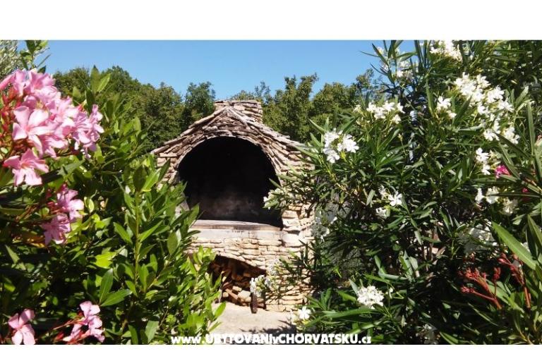 Sunny pool Apartmaji – foto 6