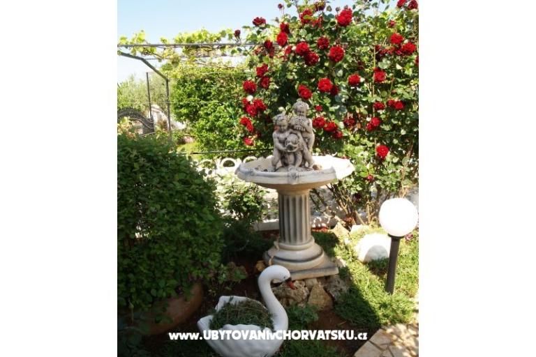 Apartma ANA-ANJA – foto 12