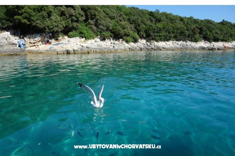 Apartmaji Ciceran – foto 16