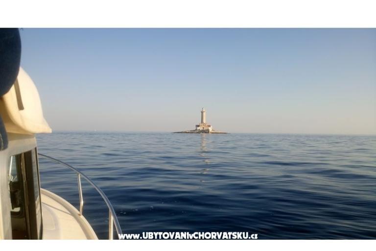 Apartmaji Ciceran – foto 32