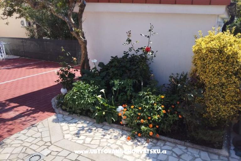Apartmaji Mila-Casa Bianca  – foto 6