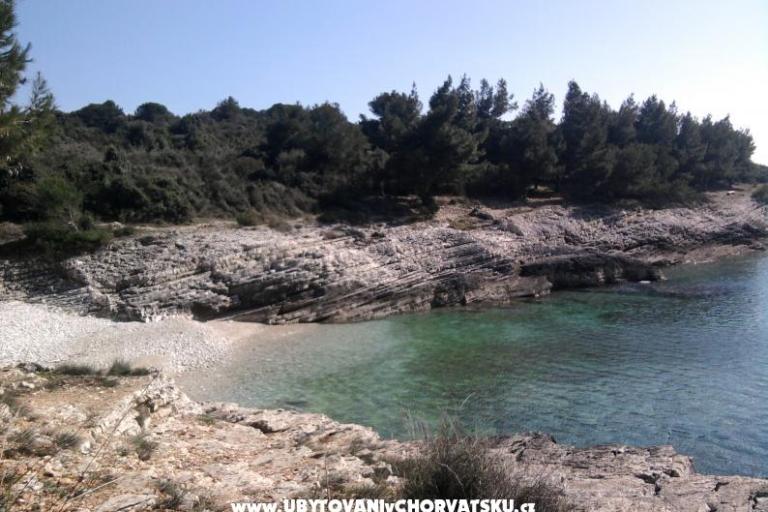 Apartmaji Croatia – foto 8