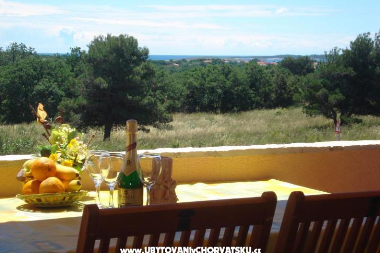 Villa Orange – foto 13