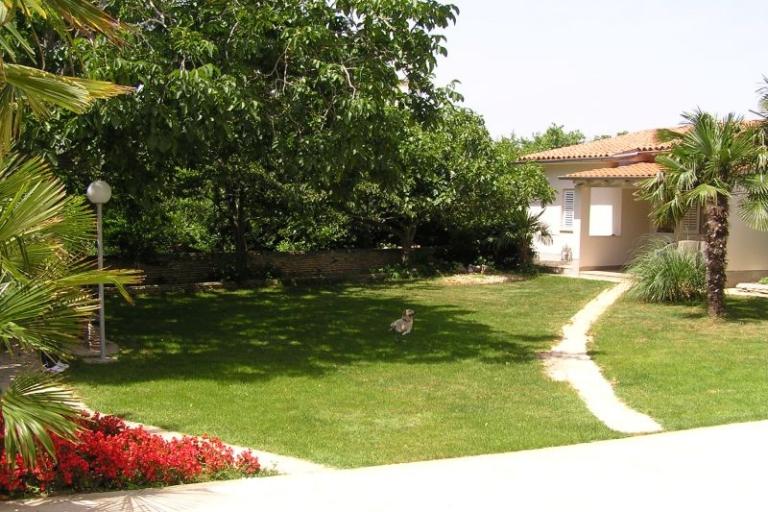 Apartmaji Paloma blanca - Oaza Reg – foto 10