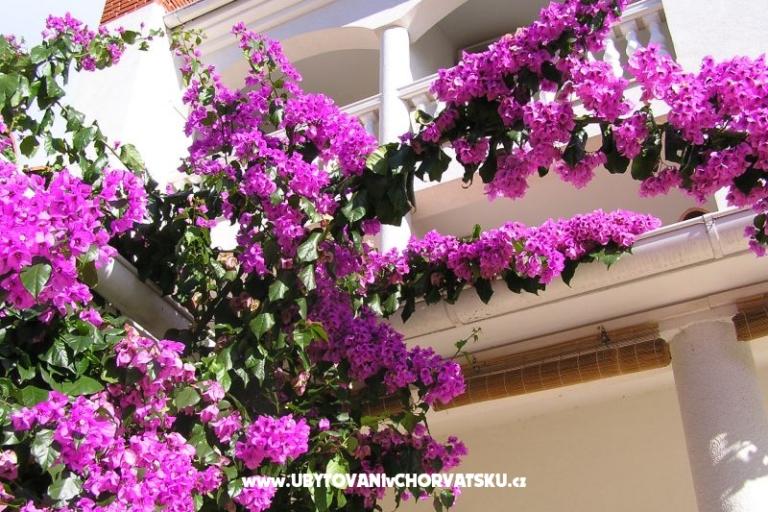 Apartmaji Paloma blanca - Oaza Reg – foto 2