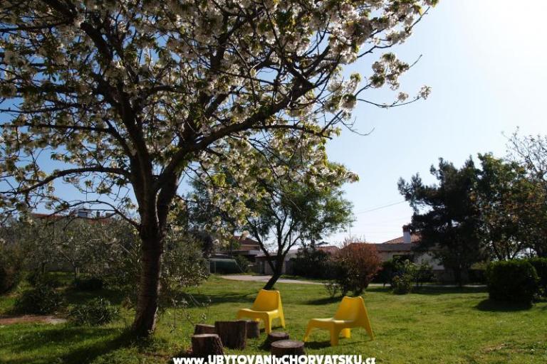 Comtemporary Apartma – foto 15