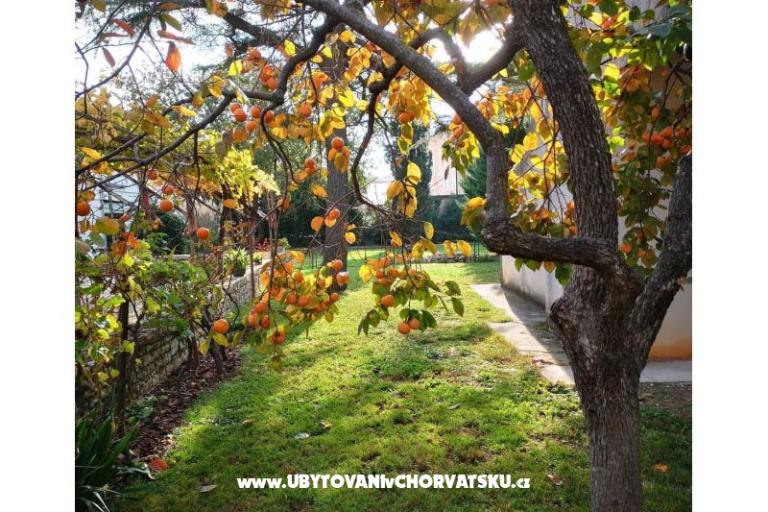 Flowers Apartma Medulin, Fucane 2 – foto 4