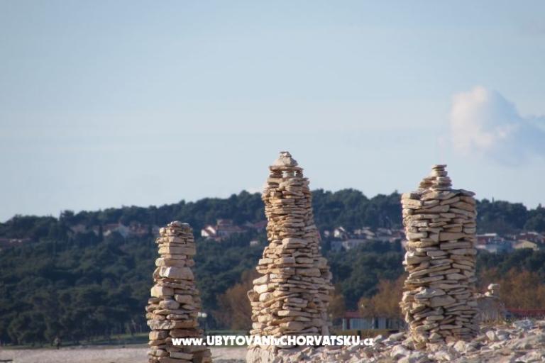 Hiša Oliva – foto 16