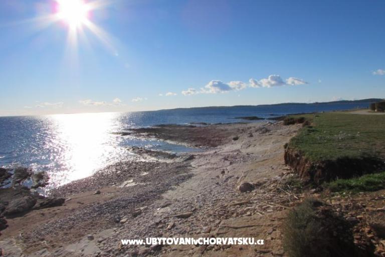 Hiša Oliva – foto 17