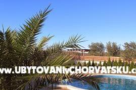 Hiša Oliva – foto 4