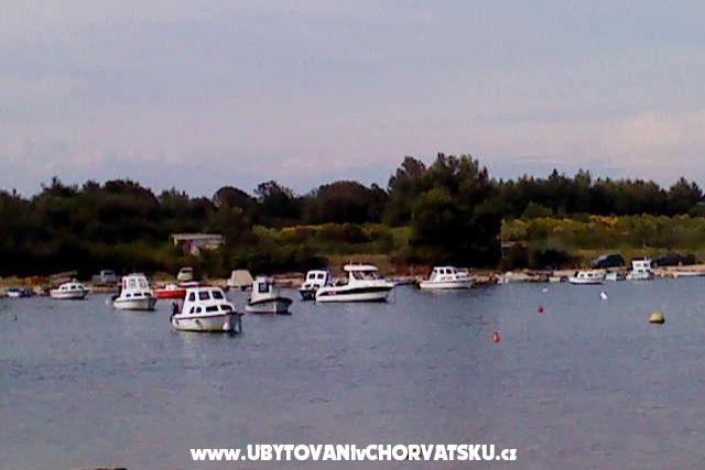 Hiša Pacic – foto 9