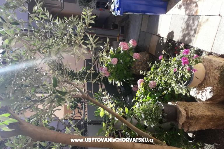 Apartmaji SUNI – foto 6