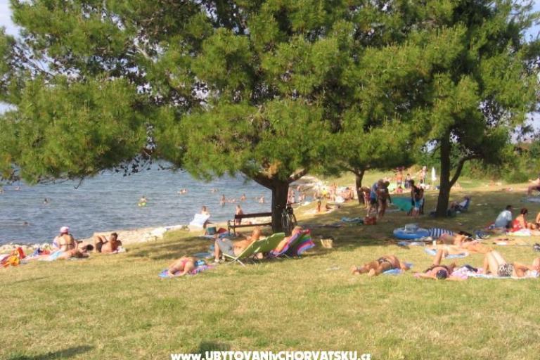 Apartmaji Tomy – foto 17