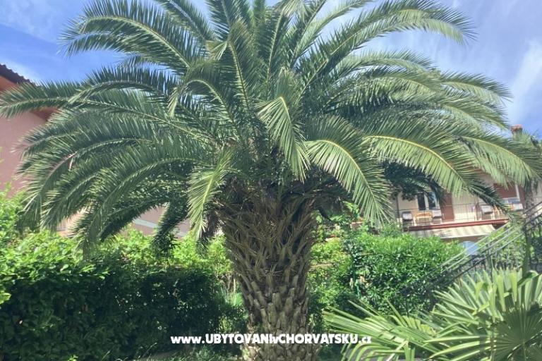 Apartmaji Rubinić  – foto 19