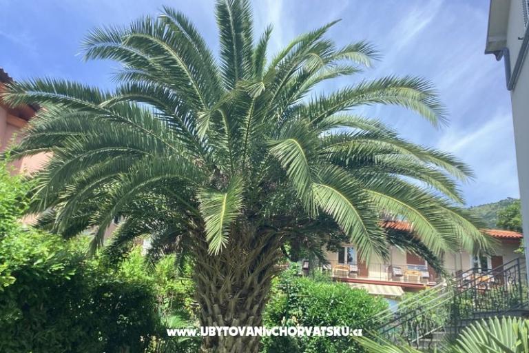 Apartmaji Rubinić  – foto 26