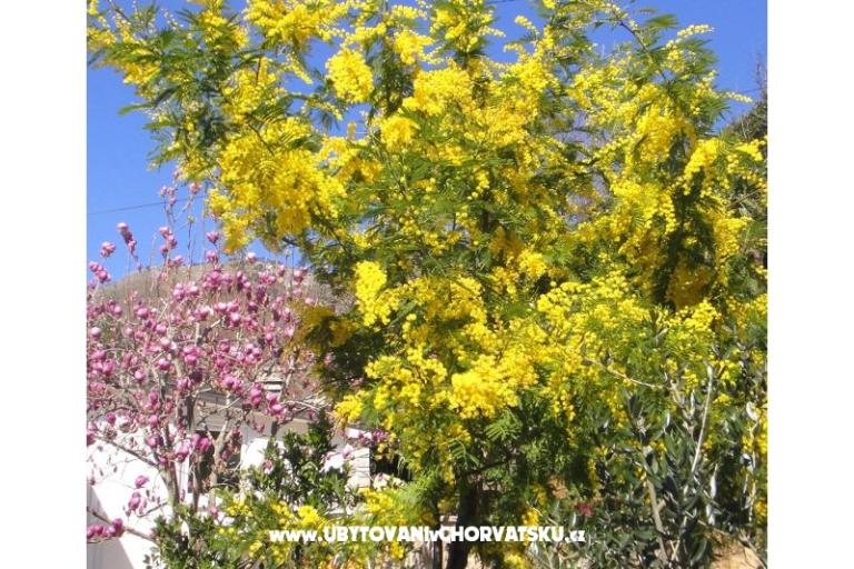 Apartmaji Vera – foto 15