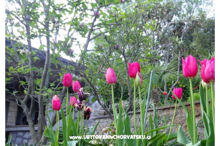 Apartmaji Vera – foto 18