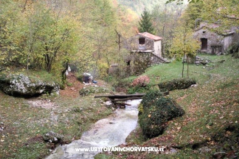 Počitniški dom Mickey – foto 20